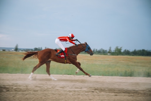 
            В Якутске пройдут традиционные конные скачки, посвященные Победе в ВОВ        