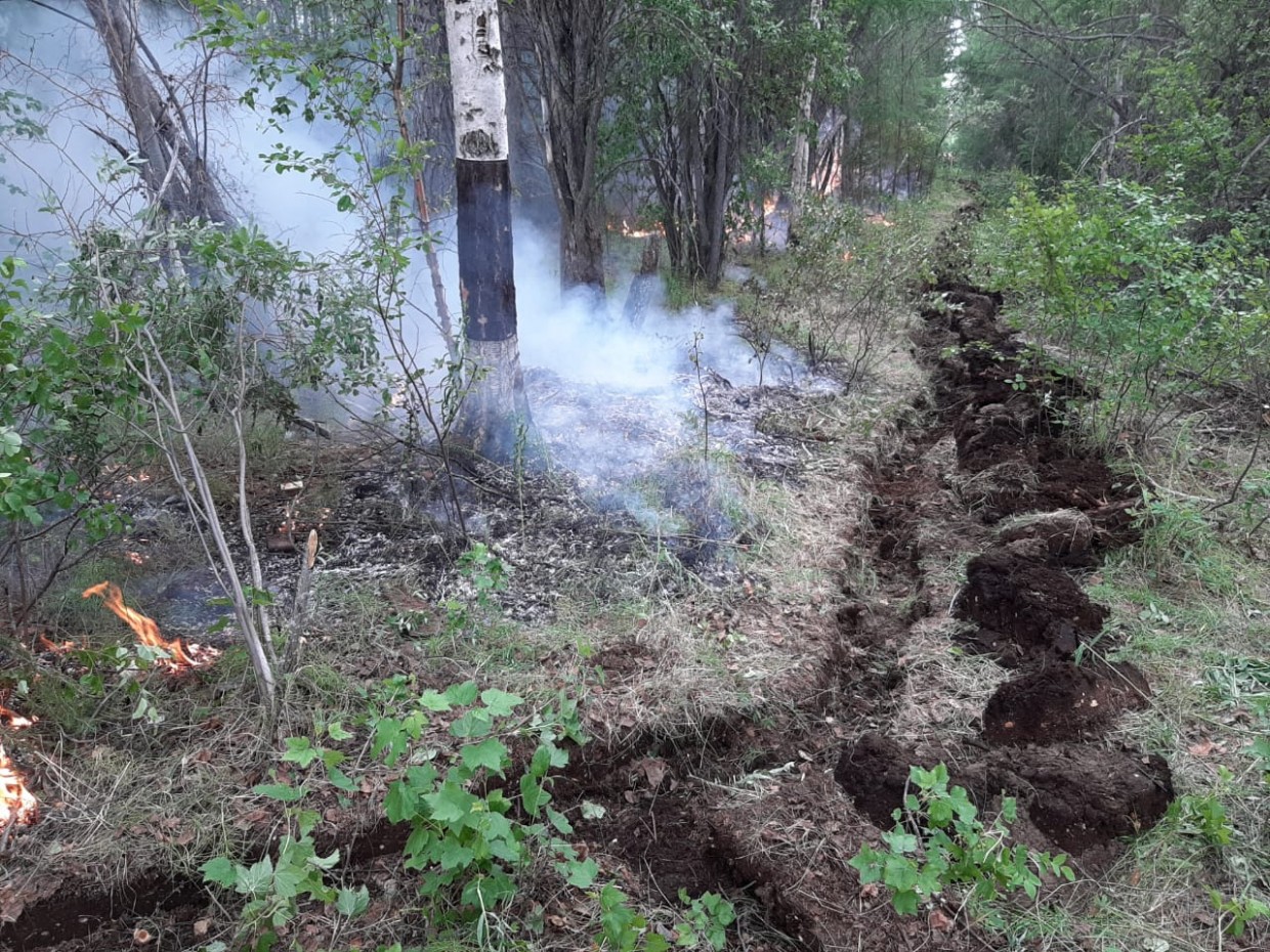 Более четырех тысяч мобилизованных на тушение лесных пожаров в Якутии не получили выплаты