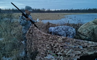 В Якутии участились случаи незаконной добычи уток, занесенных в Красную книгу