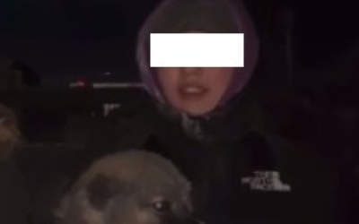 Выбросившая щенка в овраг девушка: "Меня теперь все оскорбляют, называют "живодеркой" и "убийцей"