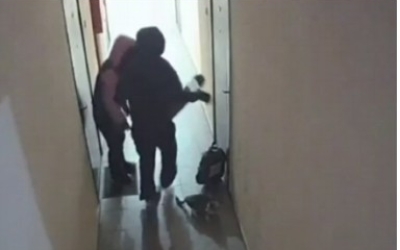 В Якутске парочка выбросила кошку в коридор жилого дома