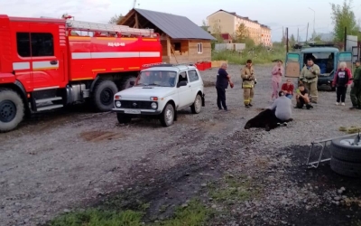 В якутском селе убили медведя, нападавшего на курятники