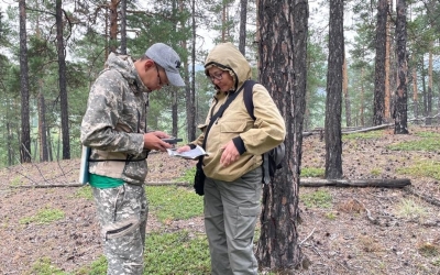 АЛРОСА и якутские ученые изучают лесные пожары