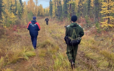 В Якутии спасатели нашли заблудившегося ягодника