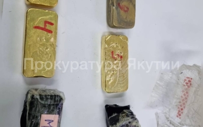 В Якутии мужчина нашёл 16 слитков золота почти на 40 миллионов рублей