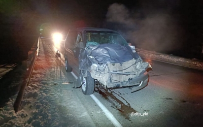 В Якутии автомобиль сбил лошадь на трассе