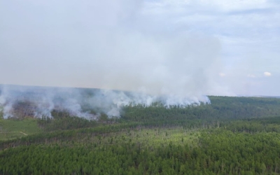 Пропавший на тушении лесного пожара якутянин нашелся
