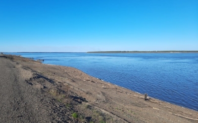 Обнаружено тело третьей пропавшей без вести девочки