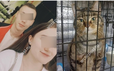 Месть из-за расставания: Пожарный Максим, обвиняемый в издевательствах над котом Василием, подал встречное заявление о клевете