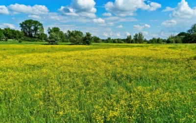 В Усть-Алданском районе во время отдыха на природе пропала женщина, страдающая деменцией