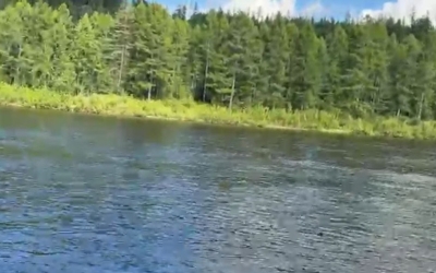 Найдено тело мужчины, пропавшего в мае