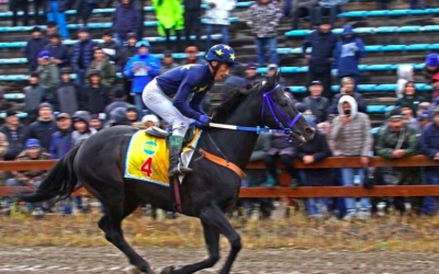 Легендарный жеребец Мэйн Кониг погиб от удара молнии