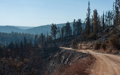 Упрдор «Вилюй» привлекли к ответственности за ненадлежащее содержание ФАД «Колыма»