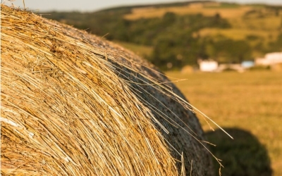 В Нюрбинском улусе пропавшего вчера подростка нашли спящим на сеновале