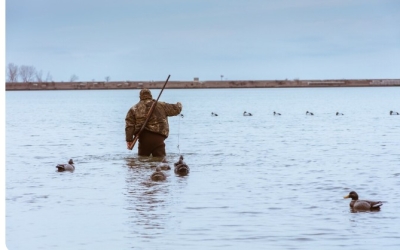 В Якутии стартовал сезон охоты на водоплавающую и боровую дичь
