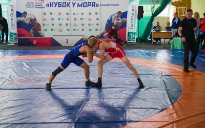 Спортивная борьба: Три медали из Владивостока