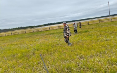 Без обуви и верхней одежды: Найдено тело пропавшего мужчины