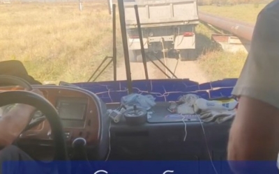 "От проклятий хейтеров даже автобус сыпется": Зоозащитница из Якутии, переезжающая на ПМЖ, добралась до Улан-Удэ