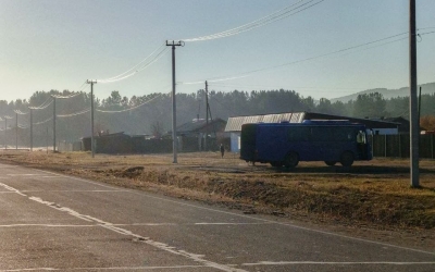 Зоозащитница с питомцами застряла в Хилоке: Как добраться до юга с собаками, кошками, крысами и попугаем