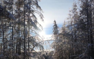 Страшная смерть: Пропавший без вести мужчина найден мертвым