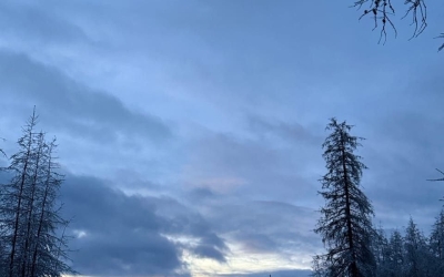 Ушел в противоположном от поселка направлении: Поиски одиноко проживающего пенсионера продолжаются