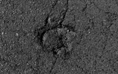 Множество выбоин на асфальте: Главу Ленска за плохие дороги в городе оштрафовали на 20 тысяч рублей