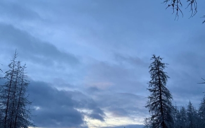 Поиски пропавшего пенсионера ведутся почти три недели. Спасатели вылетели на место