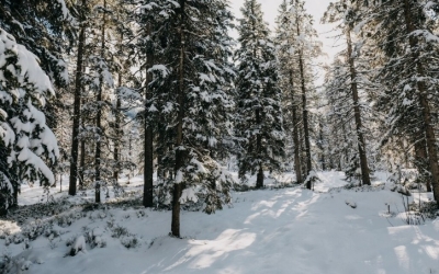 В Верхневилюйском улусе (Якутия) обнаружен погибший охотник, пропавший в охотничьем угодье