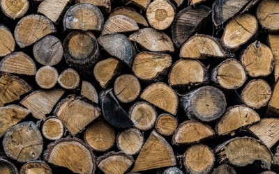 В Якутии оленевод избил до смерти друга поленом