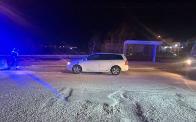 В Якутске водитель сбил двух пешеходов