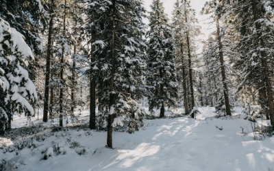 В Верхневилюйском улусе пропал 74-летний охотник