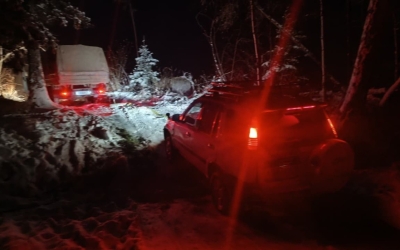 В Якутии супруги сбились с пути в тайге и застряли в снегу в 40-градусный мороз