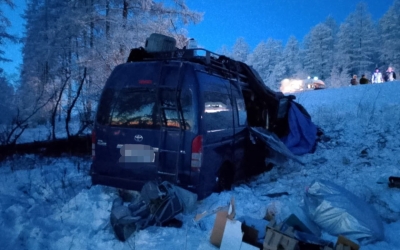 В Якутии микроавтобус вылетел с дороги и врезался в дерево: Пострадали трое человек