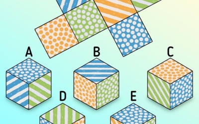 Головоломки на логику — проверяй свои навыки и развивай ум!