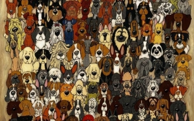 Тест на внимательность: Кто-то на этой картинке явно лишний