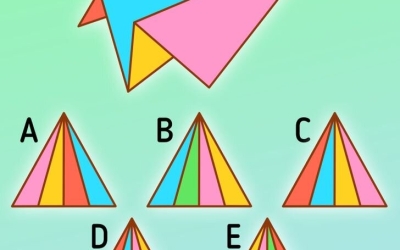 Логическая головоломка: выберите правильную схему, чтобы собрать бумажный самолётик