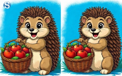 Головоломка «Ежик с корзинкой яблок»: Найдите одно отличие на картинках за 10 секунд