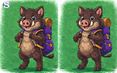 Найдите отличие на картинке с кабанчиками за 10 секунд: проверьте внимательность!