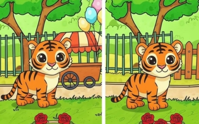 Тест на зоркость: новый житель зоопарка — милый тигрёнок. Найди все несоответствия на картинке за 15 секунд!