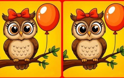 Найди одно отличие: милая головоломка для разминки мозга