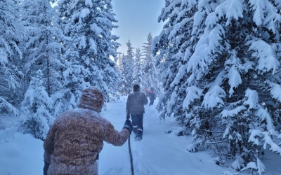 Поиски пропавшей без вести пенсионерки, страдающей деменцией, продолжаются вторую неделю