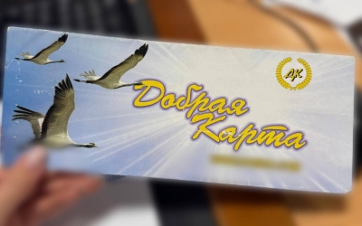 Мошенничество на 17 млн рублей: 70-летняя женщина обманывала пайщиков под видом кооператива