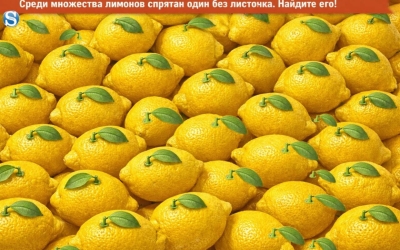Найдите лимон без листочка за 15 секунд! Справитесь с задачей на внимательность?