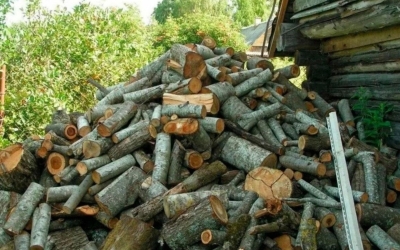 Оптическая иллюзия: среди дров притаился кот — сможете разглядеть его за 10 секунд?