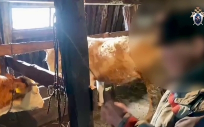 Цепь, дубинка и переломы: в Якутии начался суд по делу о рабском труде на ферме