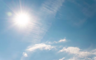 Правда или ложь? Короткий тест на эрудицию за 2 минуты