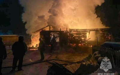 56 коров погибли при пожаре в коровнике в Вилюйском районе Якутии