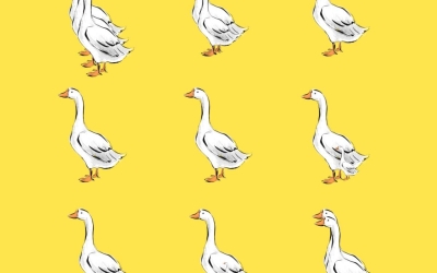 Найди всех гусей за 7 секунд: тест на супервнимательность