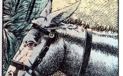 Найди живые существа на старинной гравюре: оптическая иллюзия для тренировки мозга