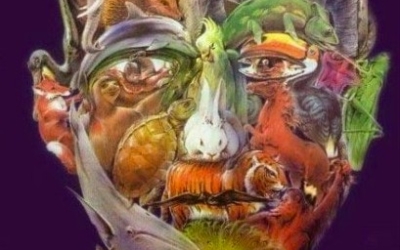 В поисках верблюда и всех остальных животных: сколько живых существ спрятано на этой картинке?